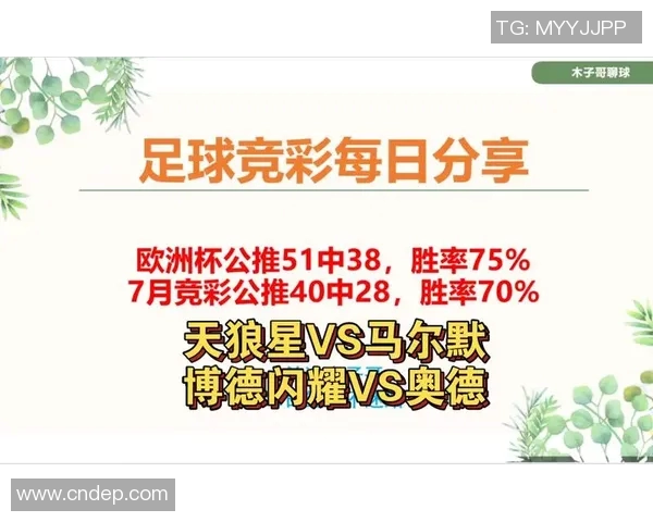 奥德与博德精彩对决直播全程回顾及赛后分析