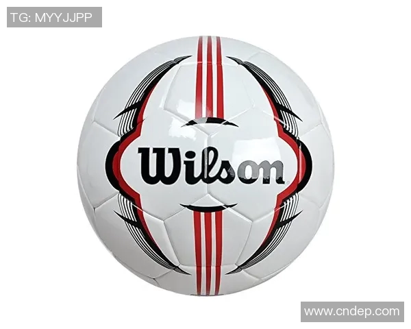 威尔郡与海文利的较量揭示足球战术与团队精神的完美结合