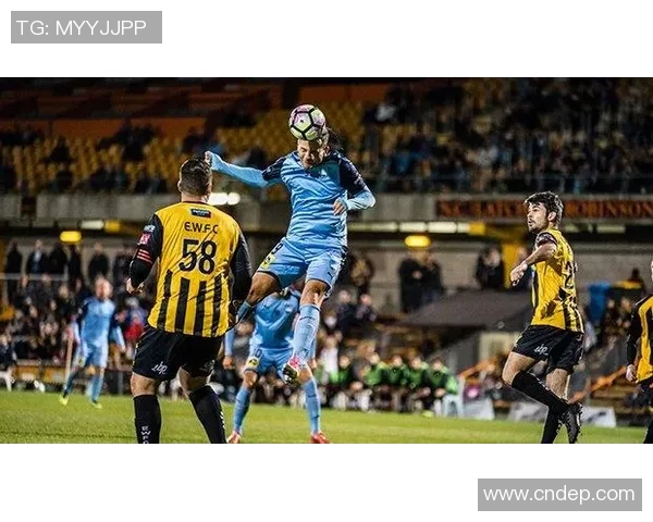 墨尔本城与悉尼女足对决前瞻分析及比赛结果预测