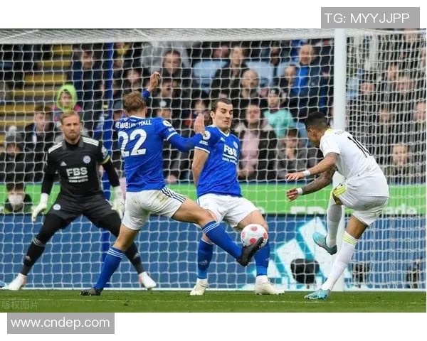 卡斯鲁厄与奥厄的精彩对决分析与赛季展望 卡斯鲁厄与奥厄的精彩对决分析与赛季展望