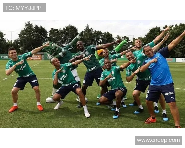 帕尔梅与戈亚尼激战正酣谁能在这场较量中笑到最后 帕尔梅与戈亚尼激战正酣谁能在这场较量中笑到最后