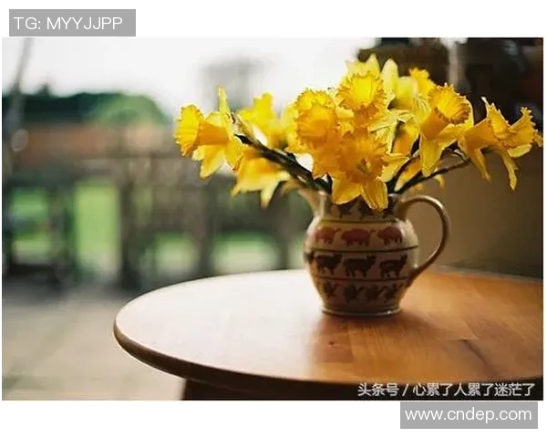 王岚：从平凡到卓越的奋斗之路与人生感悟分享