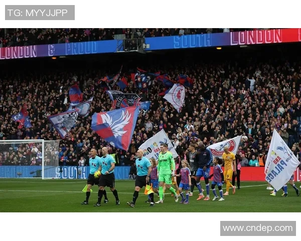 英冠焦点战伯明翰迎战西布罗姆全力争胜展现球队实力