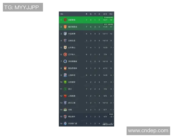成都排球队在全国锦标赛积分榜上以65分稳居第一名展现强劲实力